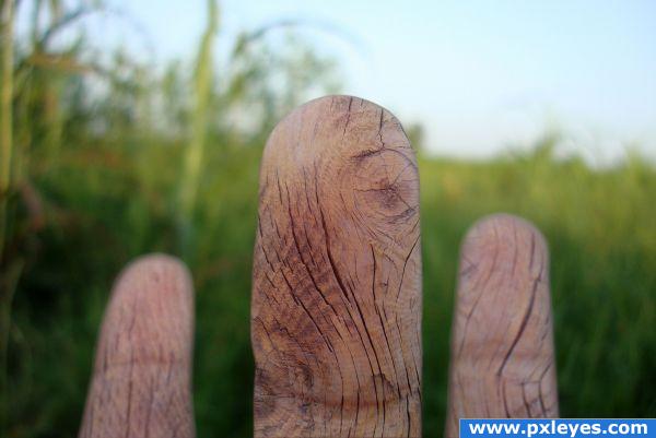 Wooden fingers